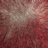 Prune Noury (détail)