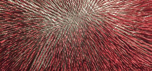 Prune Noury (détail)