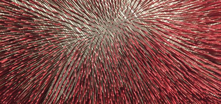 Prune Noury (détail)