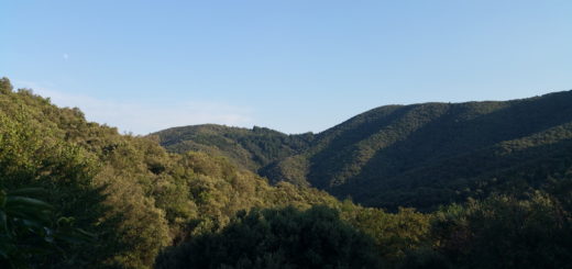 Stage intensif écriture à Soudorgues