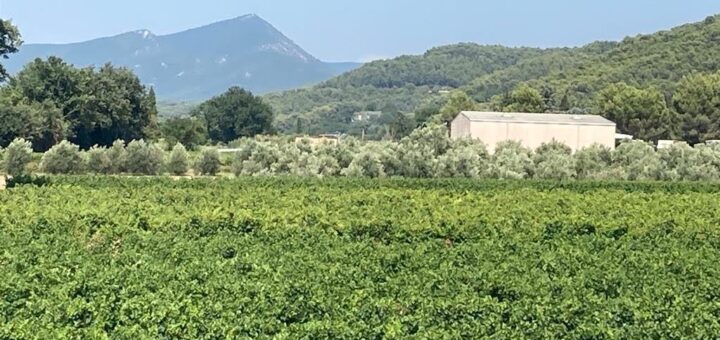 La Magnanarié Villedieu Vaucluse
